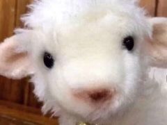 -鱼酷活鱼烤鱼(昆明路店)