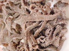 爆肚-老门框爆肚涮肉(金宝街店)