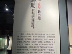 -巴音郭楞蒙古自治州博物馆