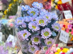 -循礼门鲜花花市(武汉循礼门店)