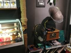 -旧屋咖啡(海景店)