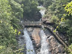 -广州白江湖森林公园