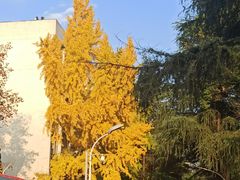 -四川大学(望江校区)