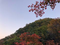 -大连天门山国家森林公园