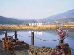 -腾冲北海湿地
