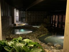 -春晖园度假酒店温泉