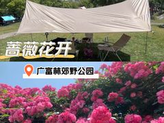 -广富林郊野公园