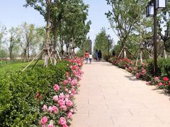 -西海子公园