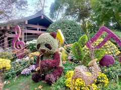 -杭州植物园