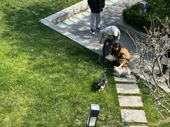 -陆家嘴世纪金融广场