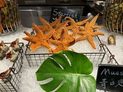-Social 秀西餐厅-长沙瑞吉酒店(运达店)