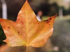 -上海市保健医疗中心