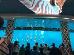 -亚龙湾海底世界