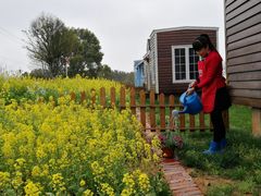 工作人员在浇花中～-龙湖东院农庄(乡间小路店)