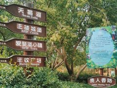 -北京张裕爱斐堡酒庄