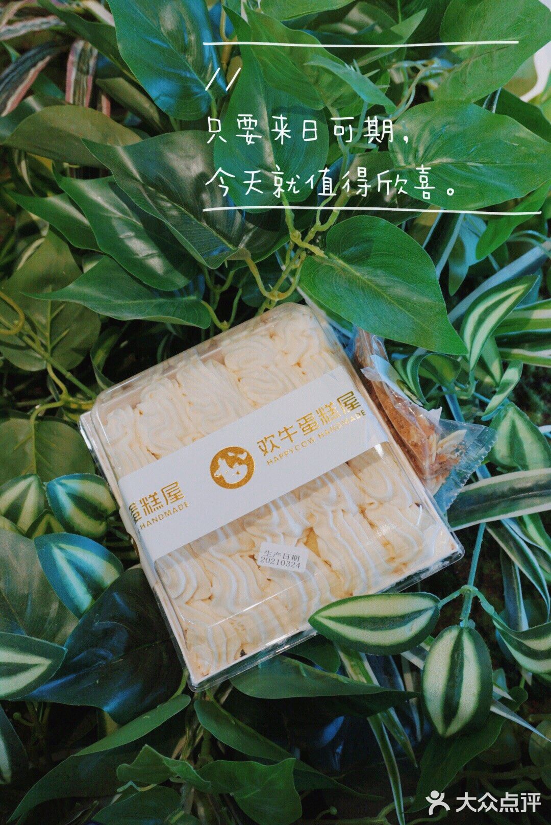 你可以往回看，但别往回走，来自欢牛甜品屋的心灵鸡汤