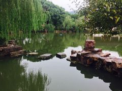-司徒庙