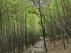 -游子山休闲旅游区