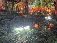 -杭州黄龙洞