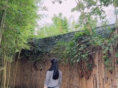 -庾园