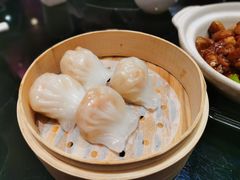 -高第街56号融合餐厅(振华五星百货店)