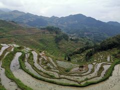 -紫鹊界梯田景区