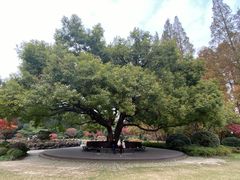 -中山公园