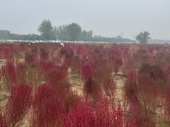 -汉长安城未央宫国家考古遗址公园