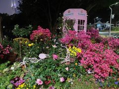 -人民公园(罗湖区)