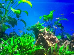 -太平洋海底世界