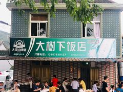-大树下饭店(春晓镇慈岙社区卫生服务站南)