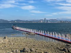 -养马岛旅游度假区