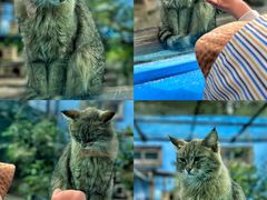 -青藏高原野生动物园