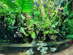 -太平洋海底世界