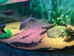 -沈阳海洋探索中心