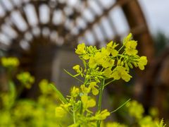 -长春公园(普阳街道)