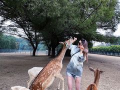 -北京麋鹿生态实验中心