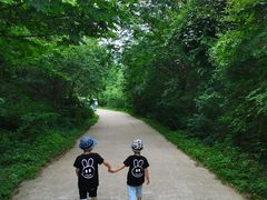 -青峰峡国家森林公园