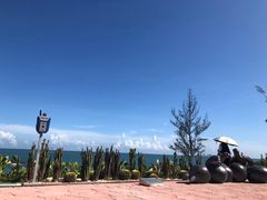 -广东惠东海龟国家级自然保护区