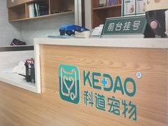 -联合动物医院(光谷诊疗中心)
