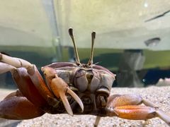 -欢乐海岸海洋奇梦馆