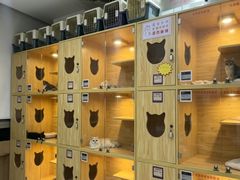 -小猫来了猫舍(福田店)