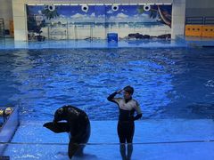 -合肥海洋世界