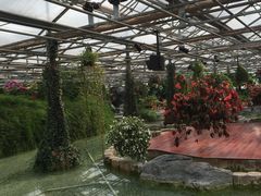 -北京九华山庄会展酒店