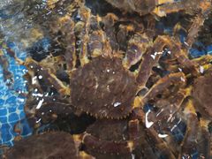 -三个渔夫·蒸汽海鲜(小白楼店)