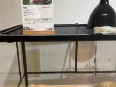 -上海昆虫博物馆