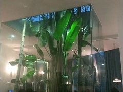 -IL Forno 意坊·意大利餐厅(花园店)