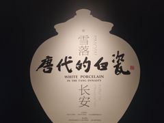 -西安唐皇城墙含光门遗址博物馆
