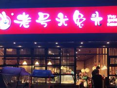 -老号尤兔头(幸福店)