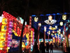 -欢乐海岸椰林沙滩-2025湾区超级灯会